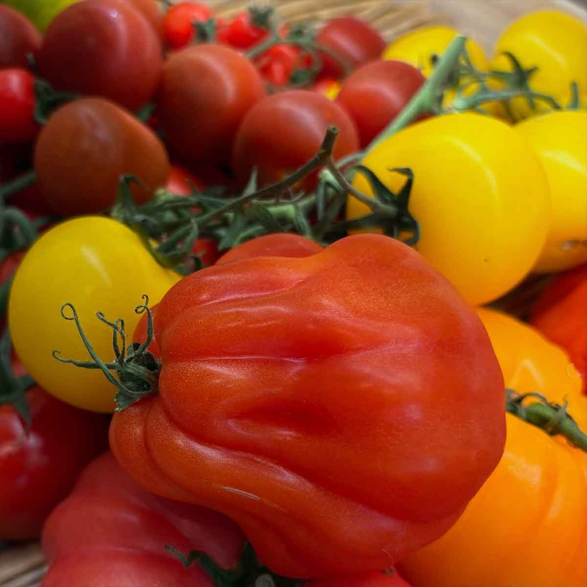 Blackwell & Co. Deli - Heritage Vegetables